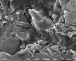 Baguette de graphite entourant une inclusion dans la météorite Allende. Crédit : Science/AAAS