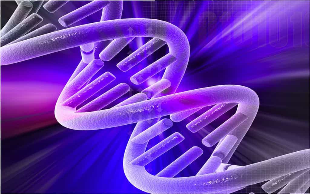 Les scientifiques ont introduit le gène sain dans l’ADN de cellules souches sanguines porteuses d’une anomalie génétique. © AndreaLaurel, Flickr, CC by 2.0