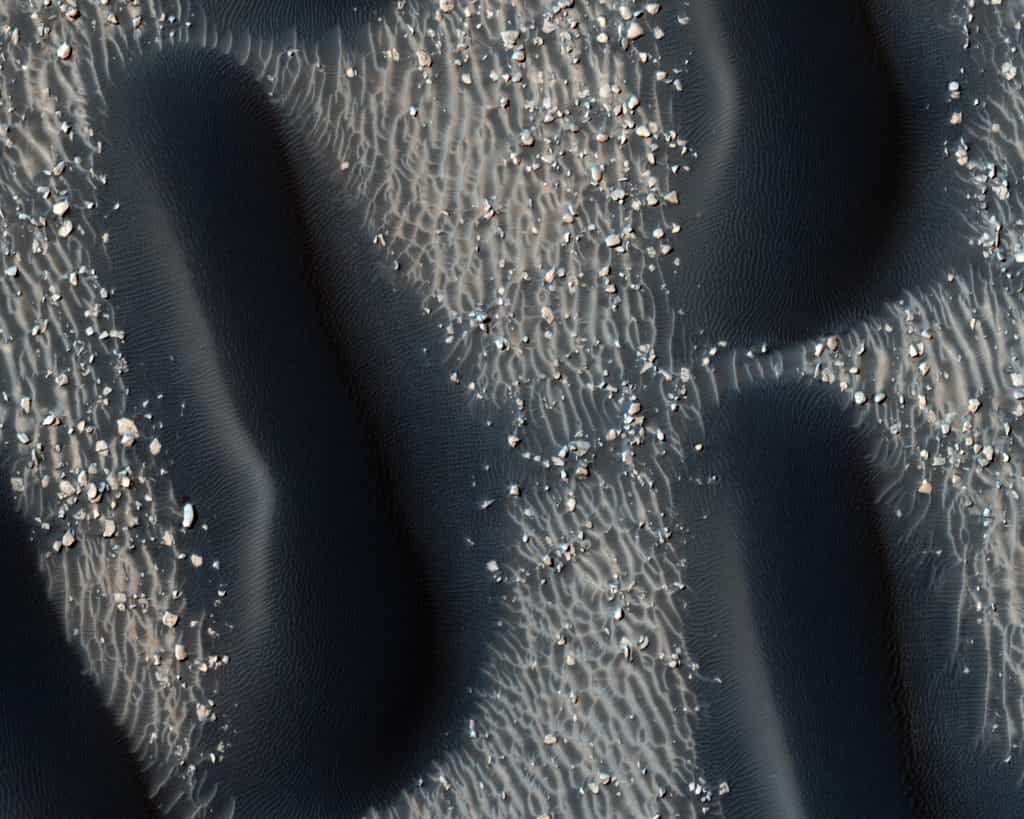 Avec sa puissante caméra Hirise, l'orbiteur MRO révèle des détails dans le champ de dunes du cratère Proctor. Les vents dominants sculptent de petites dunes sur les plus grandes et mettent à nu des blocs clairs dans le fond du cratère. Les plus petits détails visibles sur l'image sont inférieurs à 1 mètre. © Nasa/JPL/University of Arizona