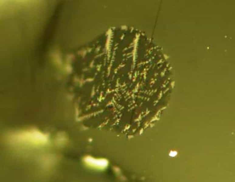 Un échantillon de sol orange lunaire examiné au microscope. Les sélénologues pensent qu'il provient d'une éruption explosive, avec écoulement de fontaines de lave, qui s'est produite il y a 3,64 milliards d'années. On voit ici un cristal d'olivine contenant des inclusions de verre volcanique. © Saal lab/Brown University