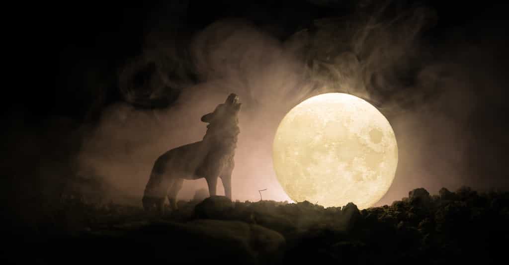 La première pleine Lune de janvier est surnommée la « Lune du loup ». Celle de 2020 a été l’occasion d’une éclipse de Lune pénombrale qui a pu être observée sur une grande partie de l’Europe. © zef art, Adobe Stock