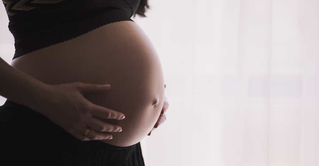 La Covid-19 expose les femmes enceintes à un risque accru de complications. © Free-photos, Pixabay