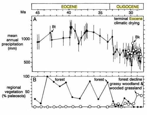 Courbes de transition des précipitations et de la végétation durant la transition Eocène/Oligocène, tracées sur la base de sédiments recueillis sur le continent nord-américain. Source : The Geological Society of USA