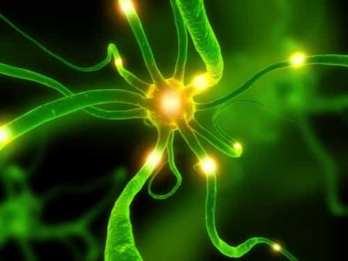 L’épilepsie est la deuxième maladie neurologique la plus fréquente après la migraine. © DR