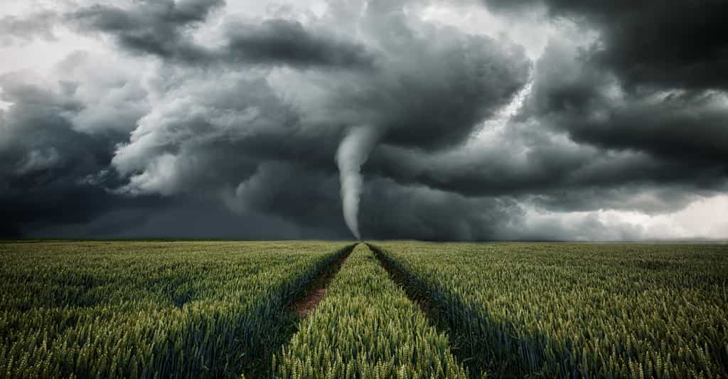 De nouvelles observations viennent mettre à mal la théorie de la formation des tornades. Celles-ci se formeraient au sol. © ohenze, Fotolia