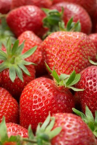 Les facultés cognitives déclineraient moins vite chez les personnes consommant plus d'une part de fraises par mois. © abimages/shutterstock.com