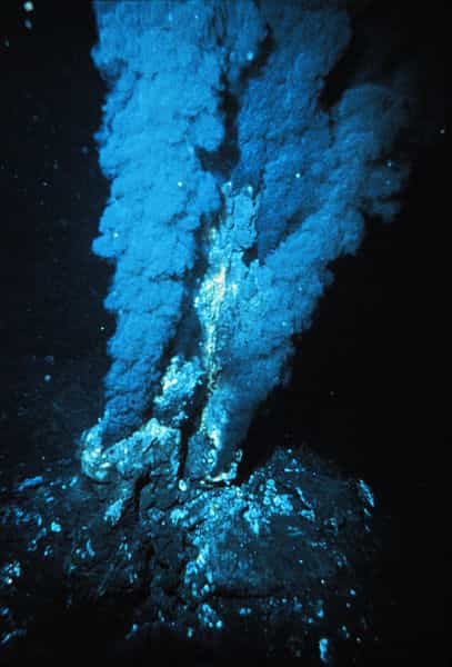 Grâce à des sources hydrothermales dans le fond des océans, certains êtres vivants arrivent à trouver les conditions suffisantes pour s'épanouir. © NOAA, Wikipédia, DP
