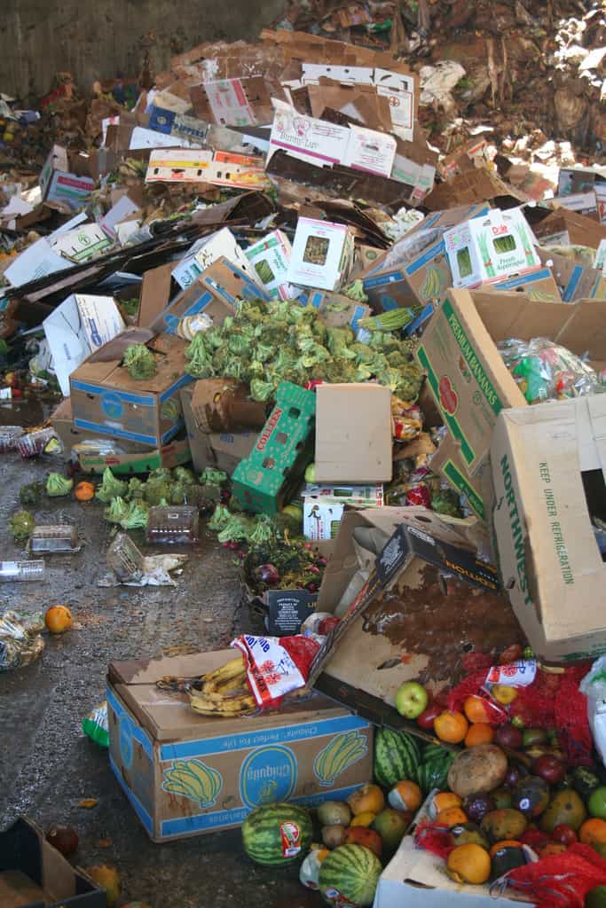 Selon l'Ademe,&nbsp;5,3 millions de&nbsp;tonnes de denrées alimentaires seraient jetées chaque année en France. La majeur partie d'entre elles pourrait être compostée.&nbsp;© jbloom, Flickr, cc by nc sa 2.0