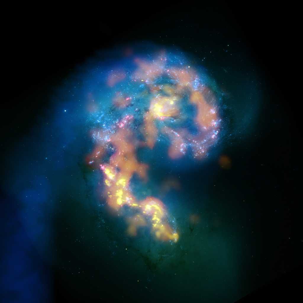 Cette image de la galaxie des Antennes est une mosaïque qui combine deux types d’images prises dans trois longueurs d'onde différentes par Hubble, dans le visible et Alma, dans le millimétrique et submillimétrique. Les données Alma (orange et jaune) montrent les nuages de gaz froid très denses, lieux de naissance des étoiles. © B. Saxton, (NRAO/AUI/NSF); Alma (ESO/NAOJ/NRAO); HST (Nasa, Esa, et B. Whitmore (STScI); J. Hibbard, (NRAO/AUI/NSF)