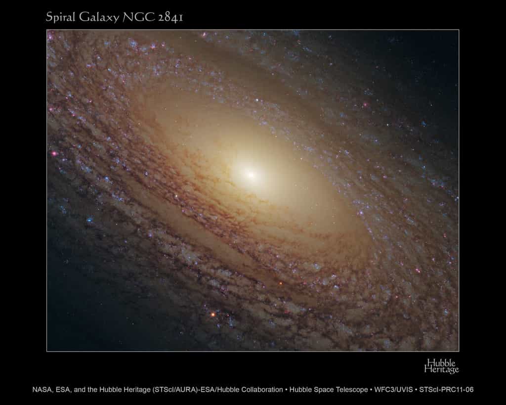 NGC 2841, une galaxie pauvre en pouponnières d'étoiles. © Nasa, Esa, the Hubble Heritage (STScI/AURA)-Esa/Hubble Collaboration
