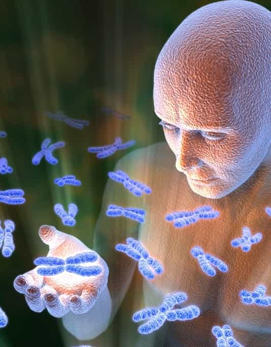 La biologie détient-elle les secrets de l'immortalité ? Sans doute le saurons nous pendant le XXIe siècle mais quand exactement ? © Jeff Johnson, Biological &amp; Medical Visuals 