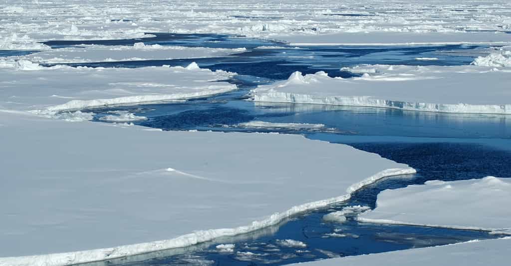 Des chercheurs ont observé que le réchauffement climatique creuse des fissures dans le dessous du glacier Thwaites, le « glacier de l’apocalypse », en Antarctique. © staphy, Adobe Stock