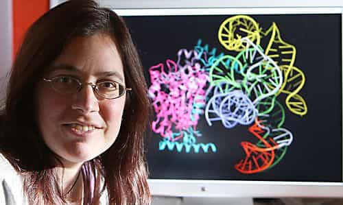 La biologiste Barbara Golden devant le complexe ARN-protéine. Crédit : Purdue Agricultural Communication/Tom Campbell