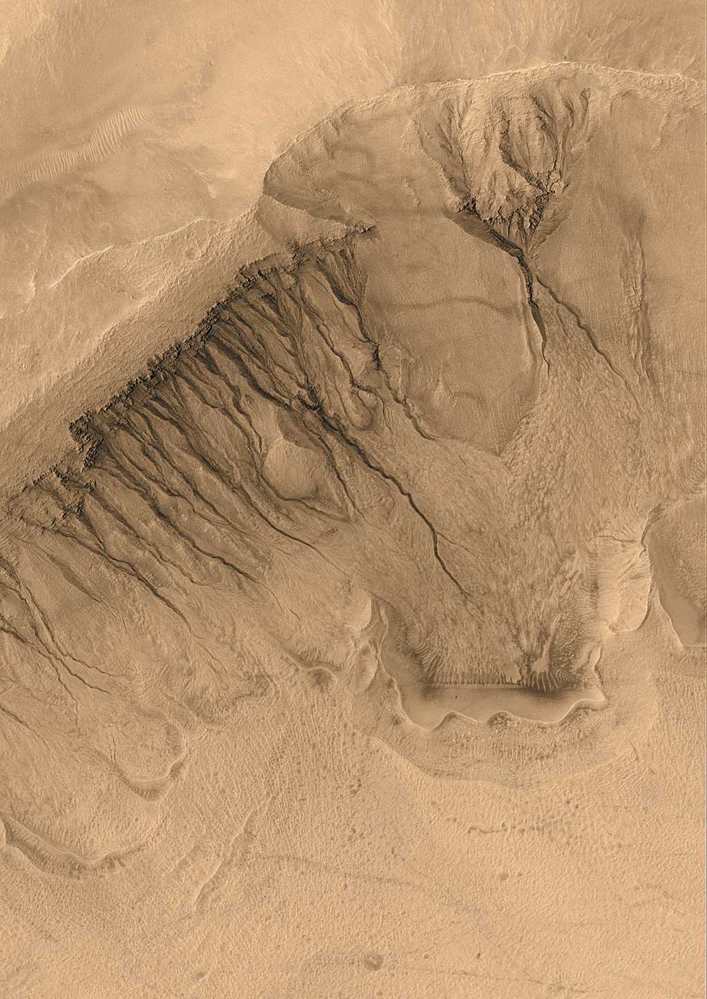 Les ravines du bassin Newton sur Mars en 2003. L'image montre une zone large de 1.500 mètres environ. Crédit : Malin Space Science Systems, MGS, JPL, Nasa