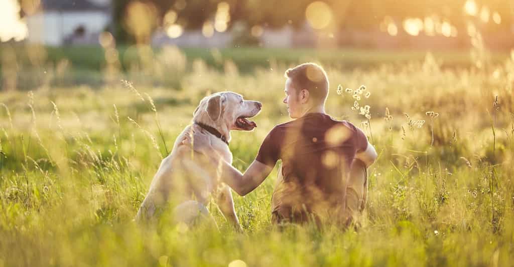 Selon une étude, la génétique joue un rôle majeur dans le choix de vivre ou non avec un chien. © chalabala, Fotolia