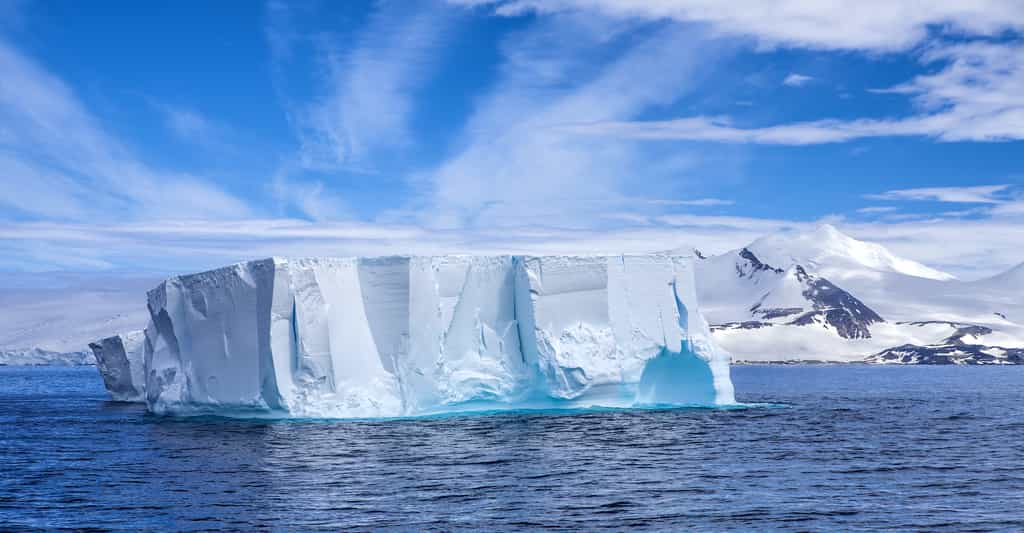 La banquise antarctique produit de plus en plus d'iceberg géants. A81 est le dernier en date. © marcaletourneux, Adobe Stock