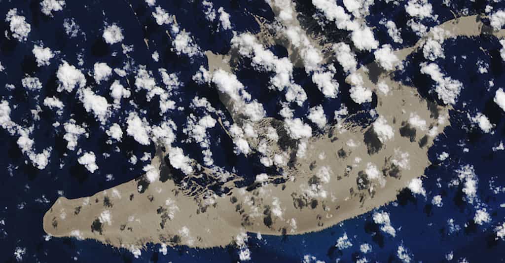 L’îlot de pierre ponce - une roche volcanique de faible densité - qui flotte vers l’Australie pourrait aider à repeupler la Grande barrière de corail. Selon les chercheurs, de tels phénomènes pourraient même expliquer sa formation. © Joshua Stevens, Nasa Earth Observatory