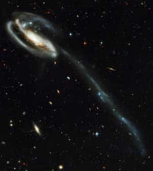 UGC 10214 évolue à près de 420 millions d'années du Soleil, dans la constellation du Dragon. Crédits NASA et the ACS Science Team