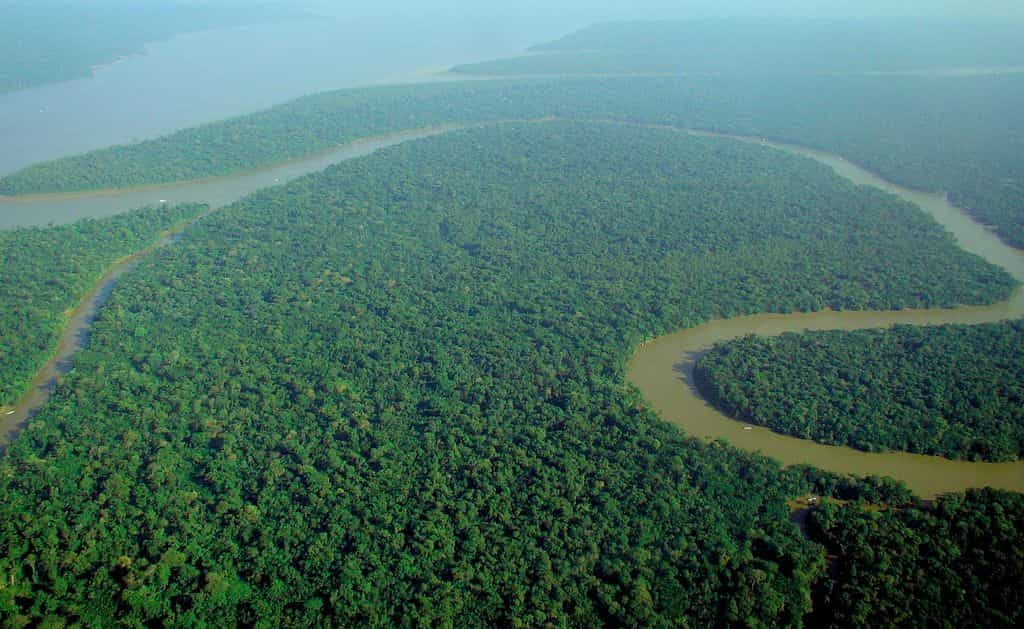 L'Amazonie, située dans les tropiques, est l'une des régions du monde les plus riches de biodiversité. © lubasi, Wikipédia, cc by sa 2.0