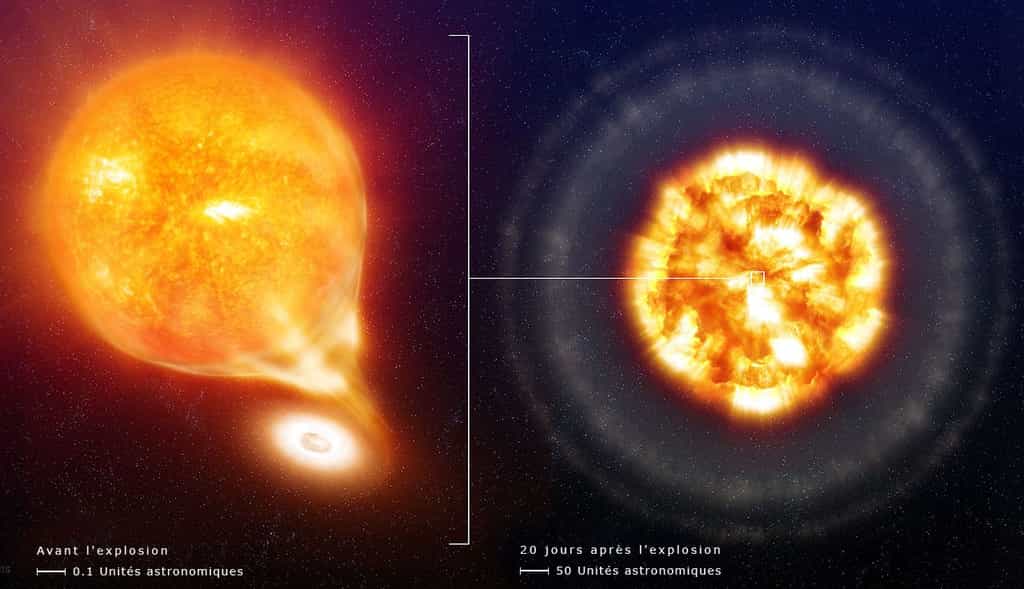 En vue d'artiste, une nova classique (ou d’une supernova de type SN Ia). Une naine blanche, en bas, et une étoile géante (en haut), en haut, tournent l'une autour de l'autre, et sont donc en interaction gravitationnelle. La plus massive est la plus petite, car elle est très dense. Cette naine blanche arrache de la matière à sa compagne jusqu'à ce que des réactions thermonucléaires se produisent, générant une explosion (image de droite). © ESO