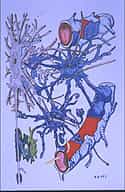 Crédits : INSERM 97.La sclérose en plaques détruit à la fois la gaine de myéline (en vert) entourant les fibres nerveuses des neurones (en gris) et les cellules gliales (en bleu) dont les pieds isolent les vaisseaux sang