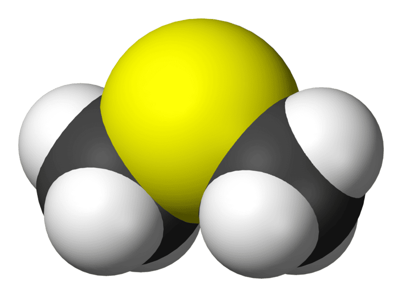 En chimie, les DMS sont des sulfures de diméthyle, composés soufrés dont la formule moléculaire est (CH3)2S. © Benjah-bmm27, Wikipédia, DP