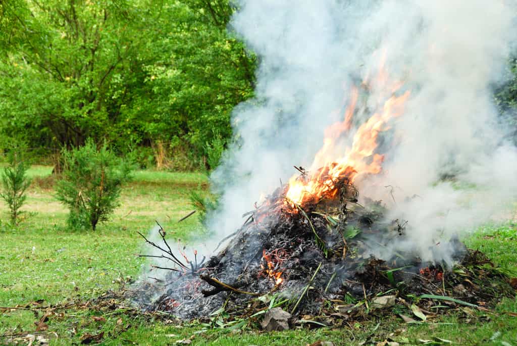 Pourquoi il ne faut pas brûler ses déchets de jardin ?