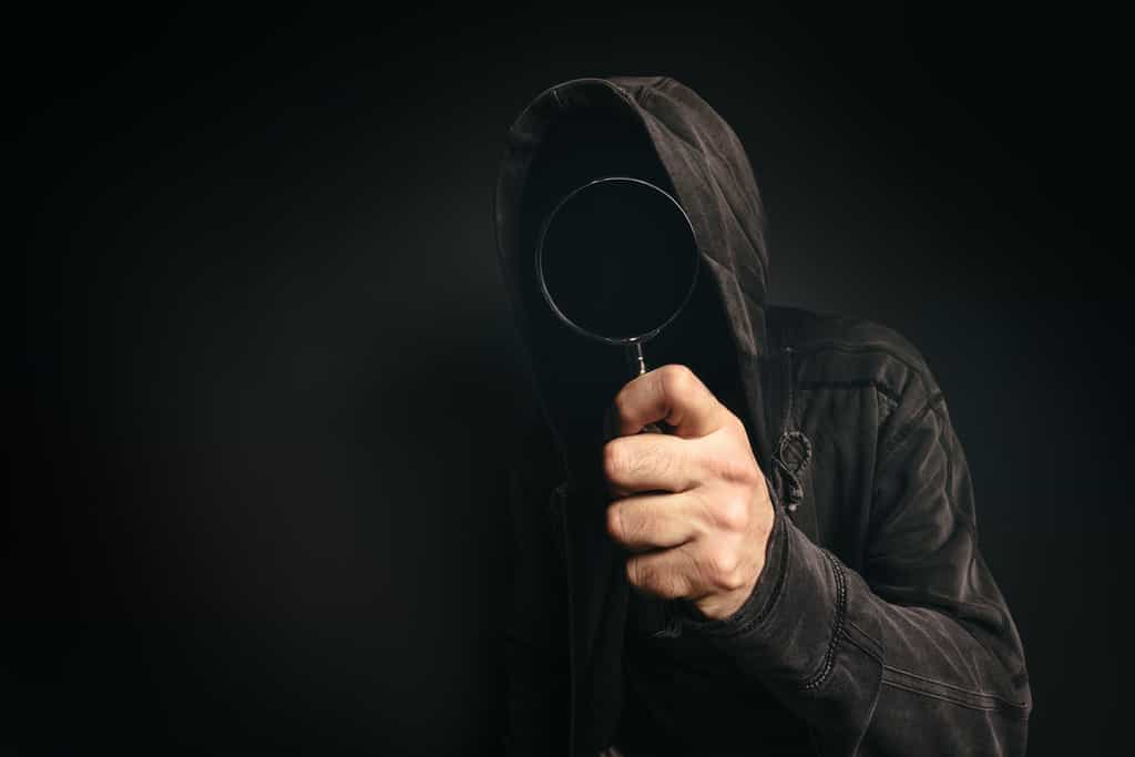 Le logiciel espion (spyware) est très souvent caché dans des gratuiciels ou des partagiciels. Il sert la plupart du temps à collecter des données personnelles afin de pouvoir envoyer des publicités ciblées à la victime. © Igor Stevanovic, Shutterstock