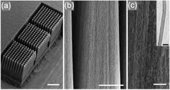 À gauche, le bloc de 1,2 mm de long portant les faisceaux de nanotubes (la barre mesure 500 micromètres). Au milieu, une vue d'une tige, légèrement pyramidale (la barre mesure 50 micromètres). À droite, détail des nanotubes alignés (la barre mesure 5 micr