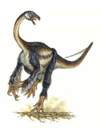 &copy; Mike SkrepnickFalcarius utahensis, un étrange dinosaure...