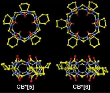 Avec sa forme ronde, la cucurbiturile évoque paraît-il la citrouille. Cette molécule sert parfois de conteneur pour le transport de molécules. Mais elle peut aussi s'assembler en sphères. Crédit : Kimoon Kim et al.