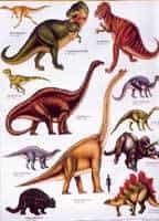 Les dinosaures auraient disparu par une extinction de masse