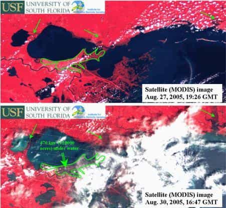 Observations de l'instrument MODIS avant (image du haut) et après (image du bas) le passage de Katrina sur la Nouvelle-Orélans En rouge figurent les terres, en bleu les étendues d'eau, en blanc les nuages Cette comparaison permet de mesurer l'
