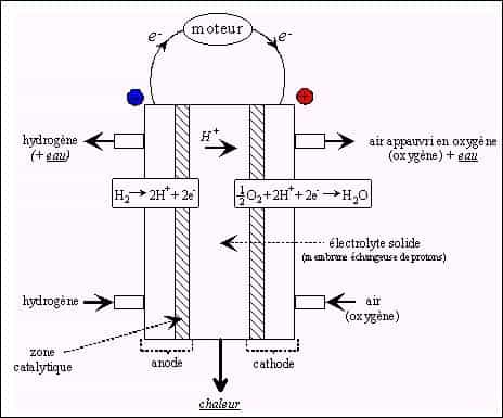Principe de fonctionnement d'une pile à hydrogène.