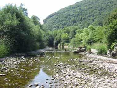 Assèchement des rivières, des conséquences désastreuses