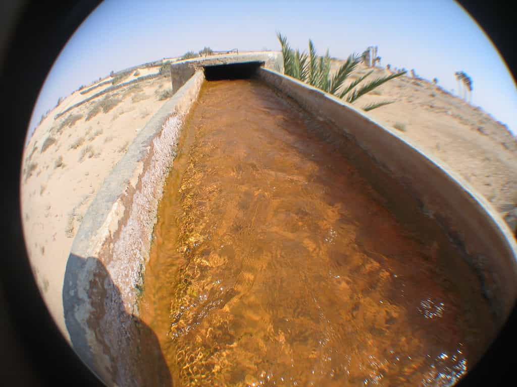 En région désertique, nombre d'agriculteurs font appel à la technique du goutte-à-goutte, qui peut réduire jusqu'à 60 % la consommation en eau. © THEfunkyman, Flickr, cc by nc nd 2.0