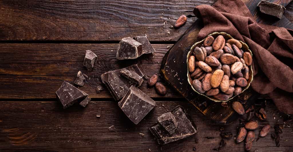 Le cacao est riche en flavanols, un composé organique cyclique qui fait du bien au cerveau. © Sea Wave, Fotolia 