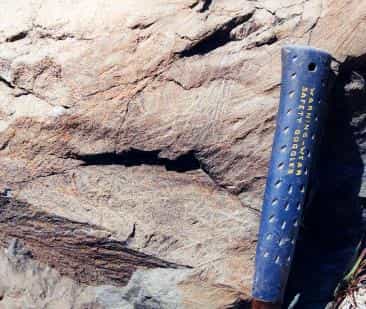 Cette komatiite date de 3,5 milliards d'années et elle provient de la région de Barberton, là où coule la rivière Komati. Crédit : Liz Johnson