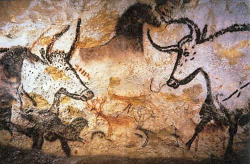 Peintures de taureaux dans la grotte de Lascaux. Crédit : Prof saxx (domaine public)