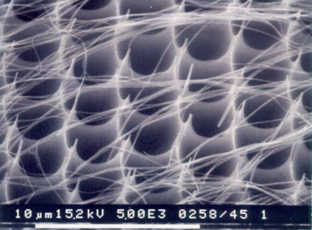 Nanofils de silicium, obtenus chez Philips par gravure électrochimique d'une surface de silicium. Crédit Philips