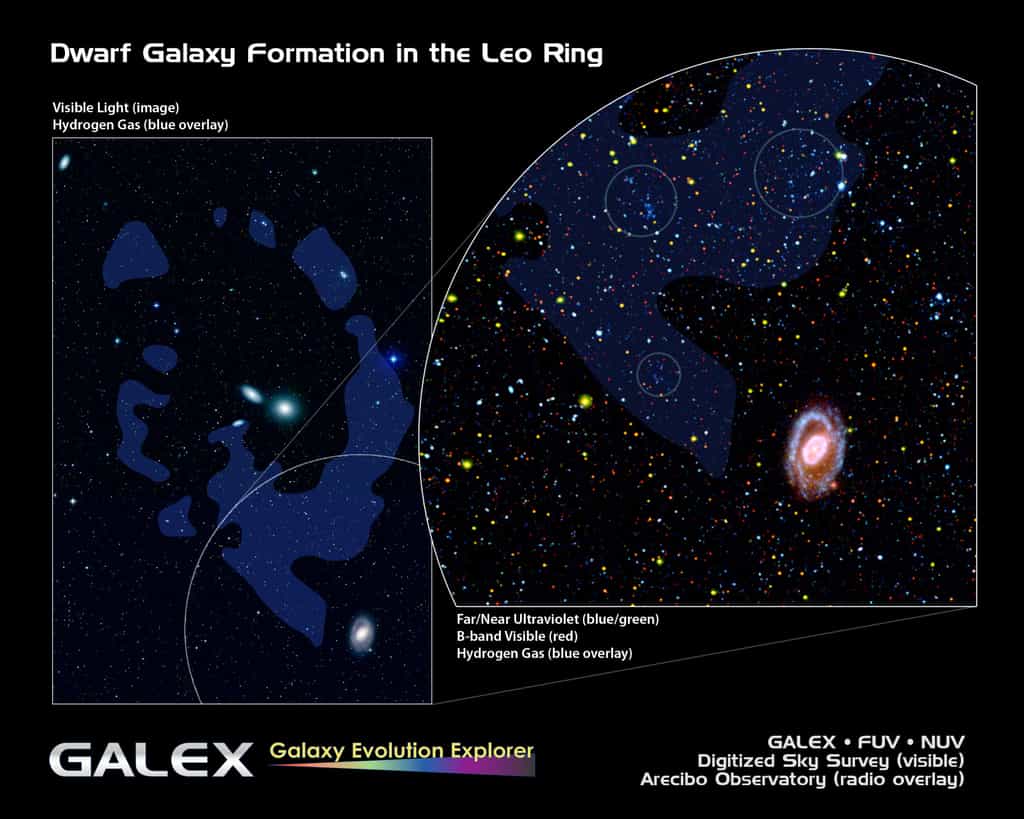 Découvert il y a 25 ans dans le domaine radio, l'Anneau du Lion possède bel et bien des concentrations d'étoiles comme le montre ce zoom avec trois régions cerclées. Colorées en bleu-vert, des étoiles massives y émettent en ultraviolet comme le révèlent les instruments de Galex. Crédit : Nasa/JPL-Caltech/DSS
