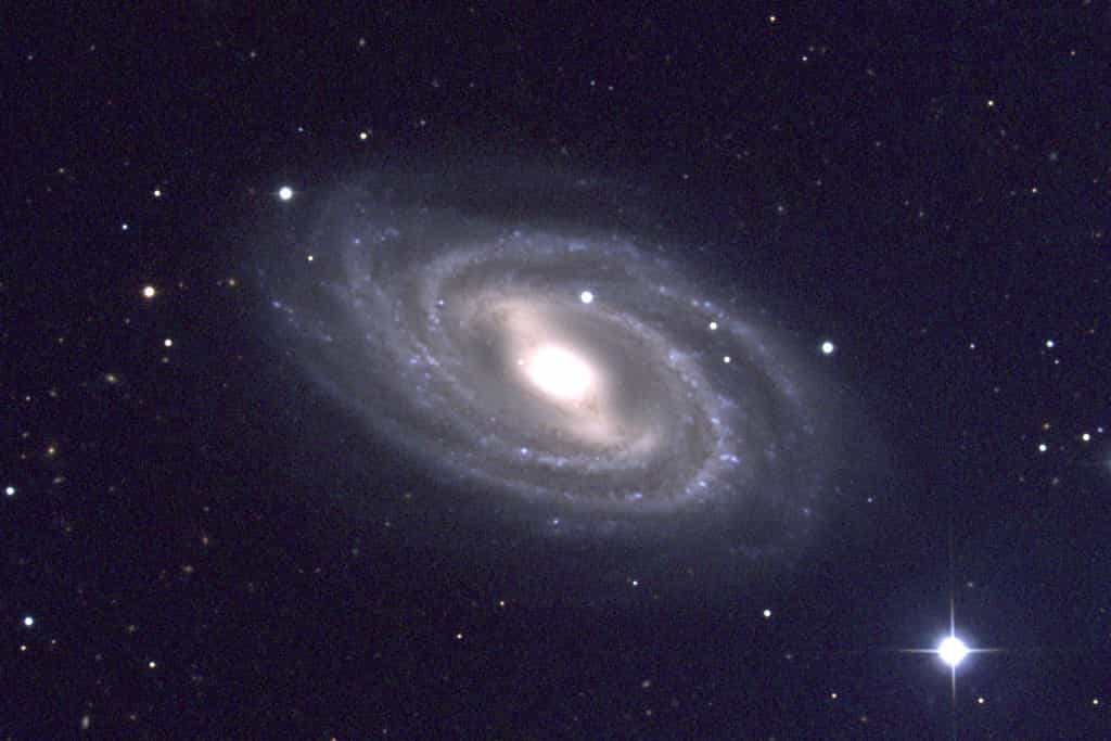 Une galaxie spirale barrée, M 109. Crédit : National Optical Astronomy Observatory/Association of Universities for Research in Astronomy/National Science Foundation