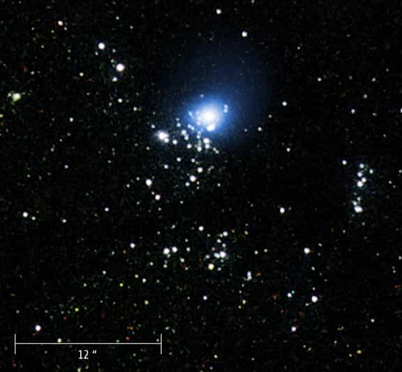Image composite où Hubble montre une séries d'étoiles bleues et chaudes avec une image brillante de M33-7 en rayons X donnée par Chandra.(Crédit: X-ray: NASA/CXC/CfA/P.Plucinsky et al.; Optical: NASA/STScI/SDSU/J.Orosz et al. )
