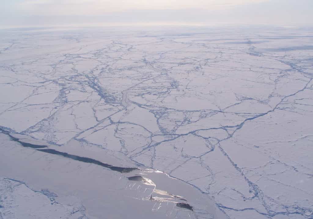 Le soleil se reflète sur la glace de mer du bassin canadien dans l'océan Arctique. Cet automne, le volume total de banquise arctique a diminué de 36 %. © Sinead Farrell, Nasa