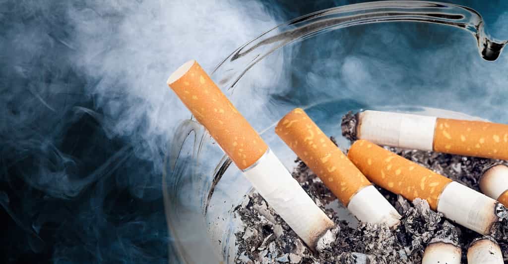 Même éteinte depuis longtemps, les cigarettes continuent de polluer leur environnement. © BillionPhotos.com, Adobe Stock