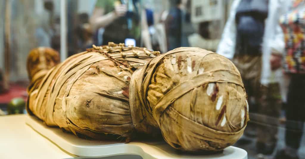 Des chercheurs de l’université de York (Royaume-Uni) sont parvenus à reconstituer la voix d’une momie égyptienne, comme celle prise en illustration ici, vieille de 3.000 ans. © Jaroslav Moravcik, Adobe Stock