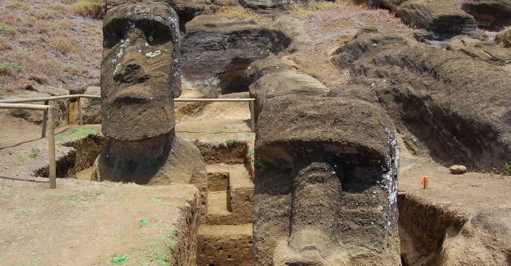 Des chercheurs de l’université de Californie à Los Angeles (États-Unis) imaginent aujourd’hui que les statues géantes de l’île de Pâques ont aidé l’agriculture locale. © Easter Island Statue Project, Université de Californie