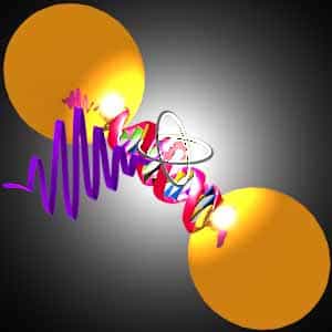 Représentation schématique d'une nano-antenne formée de deux  nanoparticules d'or liées par un double brin d'ADN et alimentée par un  émetteur quantique unique.&nbsp;© Busson, Rolly, Stout, Bonod, Bidault