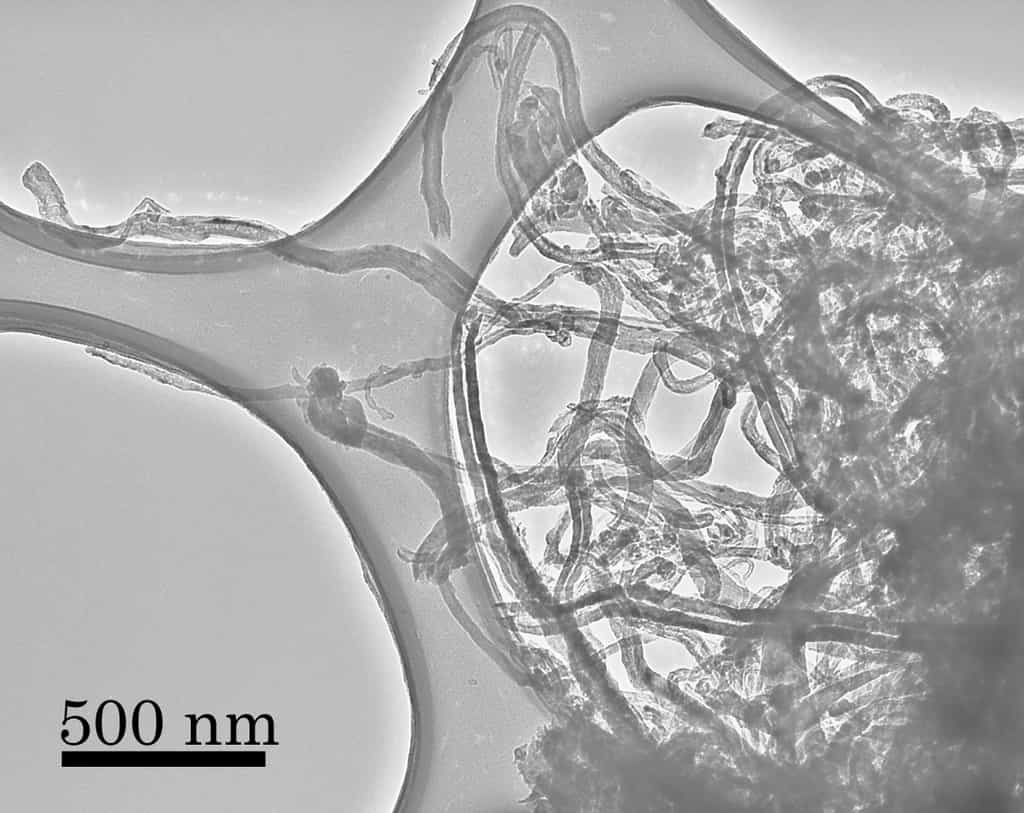 Les nanotubes de carbone synthétisés sans catalyseur métallique, comme le platine, vus au microscope électronique. La barre noire en bas à gauche indique les distances en nanomètres. Crédit : Yuki Kimura, Tohoku University