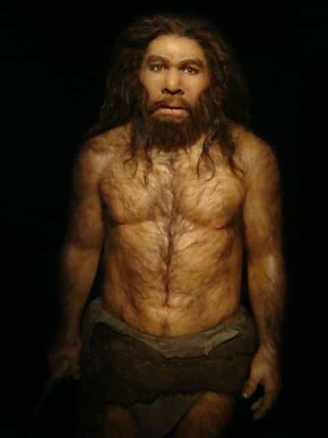 Une étude montre la trace de tumeur bénigne dans un&nbsp;os d'Homme de Néandertal. © Fuzyrapptor, Flickr, cc by nc sa 2.0
